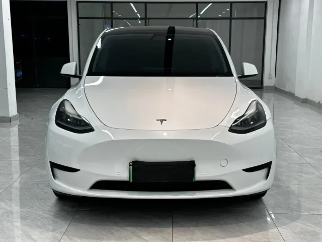Tesla Model Y — Фото автомобиля 2