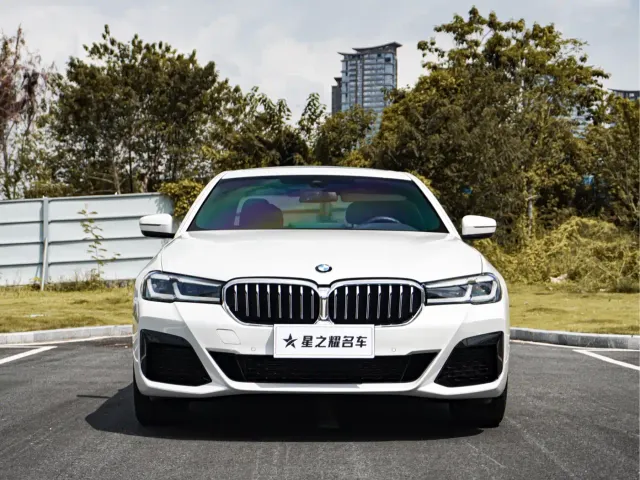 BMW 5 Series — Фото автомобиля 3
