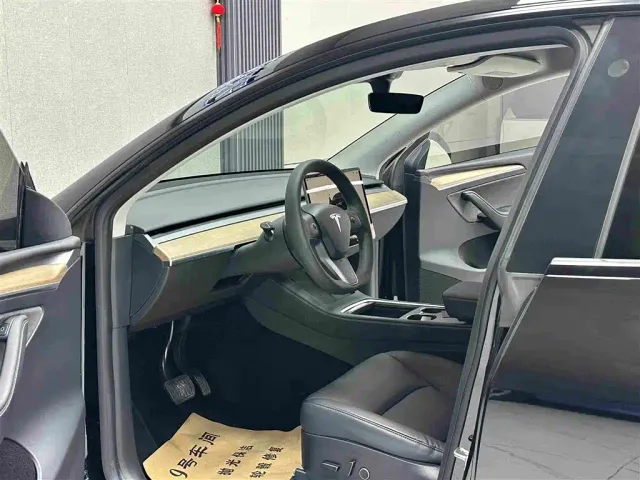Tesla Model Y — Фото автомобиля 9
