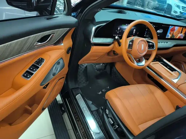 Wey Lanshan — Фото автомобиля 15
