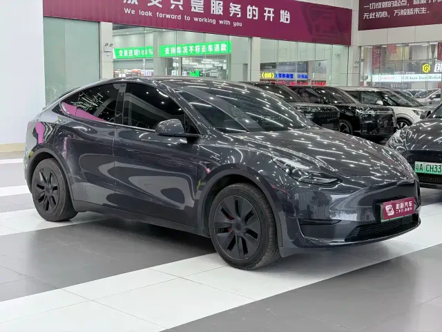 Tesla Model Y — Фото автомобиля 2