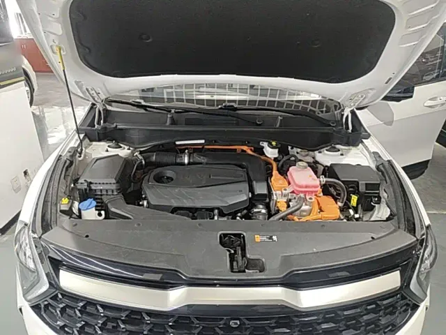 Kia Sportage — Фото автомобиля 19