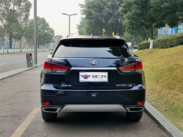 Lexus RX — Фото автомобиля 5