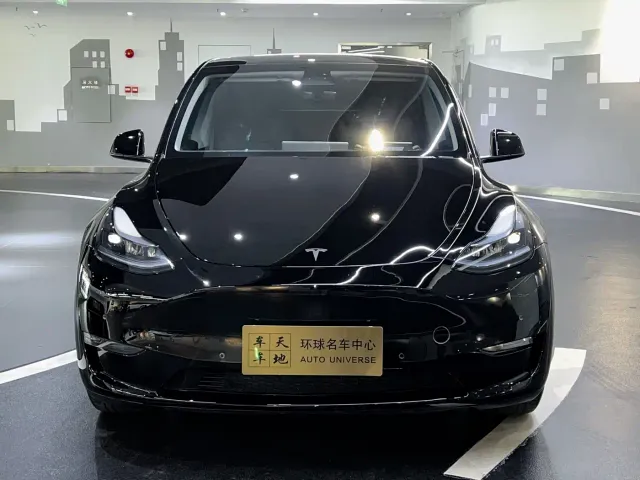 Tesla Model Y — Фото автомобиля 2