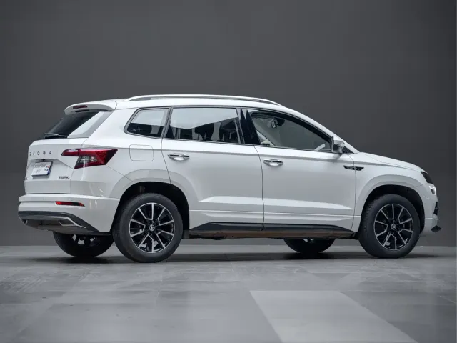 Skoda Karoq — Фото автомобиля 8