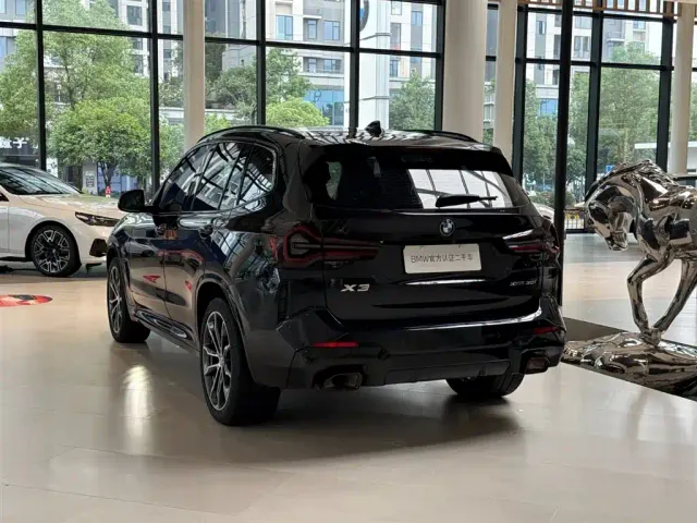 BMW X3 — Фото автомобиля 11