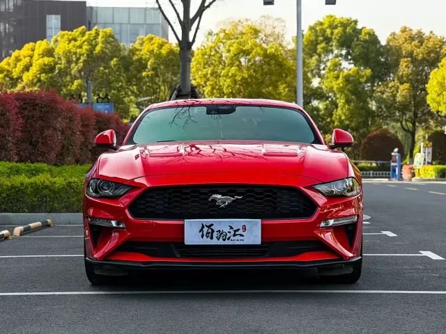 Ford Mustang — Фото автомобиля 3
