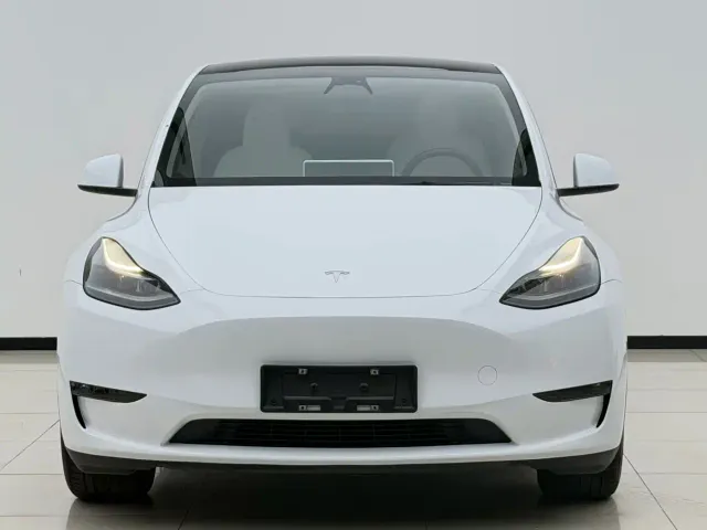 Tesla Model Y — Фото автомобиля 2