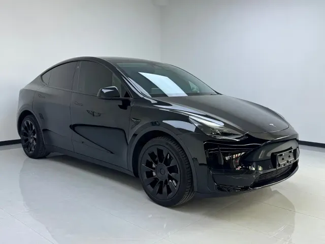 Tesla Model Y — Фото автомобиля 2