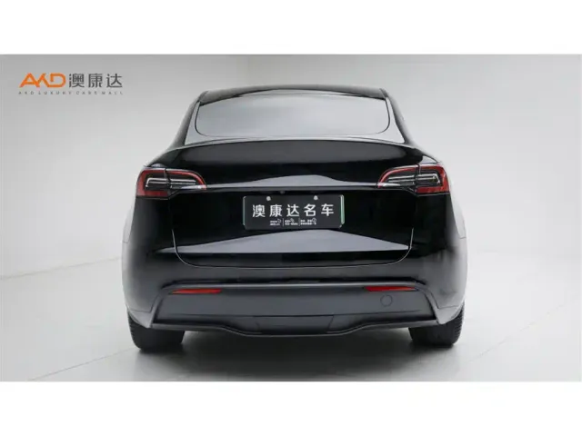 Tesla Model Y — Фото автомобиля 4