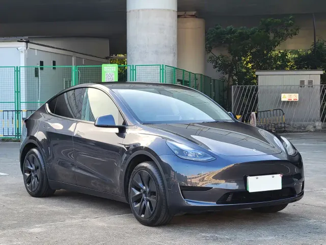 Tesla Model Y — Фото автомобиля 3