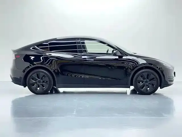Tesla Model Y — Фото автомобиля 9
