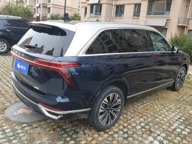 Wey Lanshan — Фото автомобиля 3