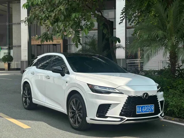 Lexus RX — Фото автомобиля 29