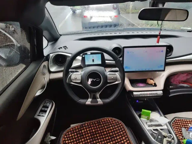 BYD Dolphin — Фото автомобиля 6