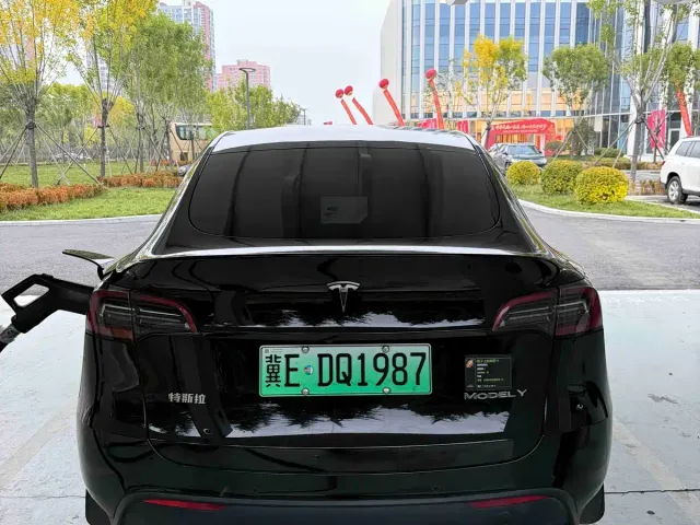 Tesla Model Y — Фото автомобиля 7