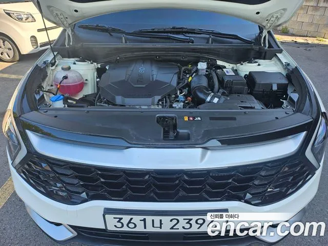 Kia Sportage Generation 5 — Фото автомобиля 19