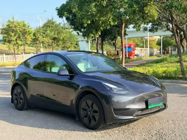 Tesla Model Y — Фото автомобиля 11