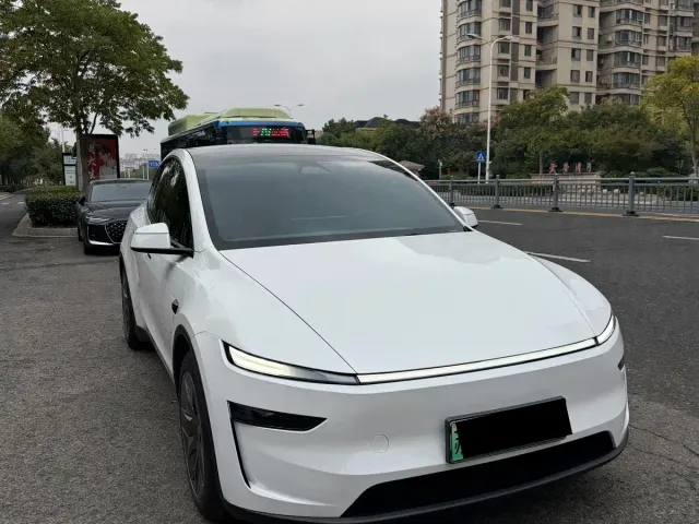 Tesla Model Y L — Фото автомобиля 3