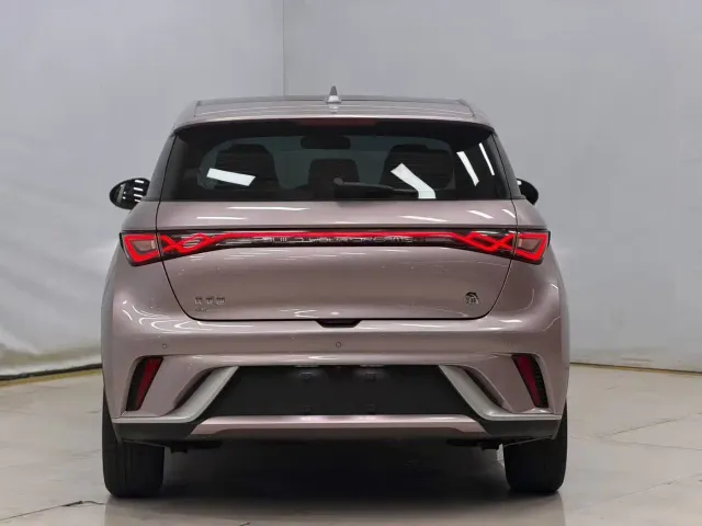 BYD Dolphin 2023 420km Fashion Edition — Фото автомобиля 8