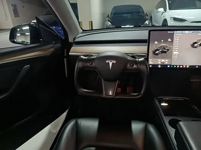 Tesla Model Y — Фото автомобиля 10