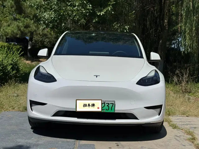 Tesla Model Y — Фото автомобиля 2