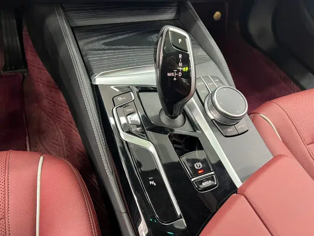 BMW BMW 5 Series 2022 530Li Leading M Sport Package — Фото автомобиля 14