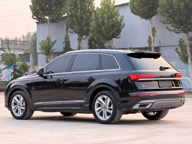 Audi Q7 — Фото автомобиля 19