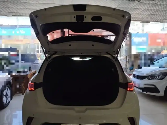 BYD Dolphin — Фото автомобиля 18