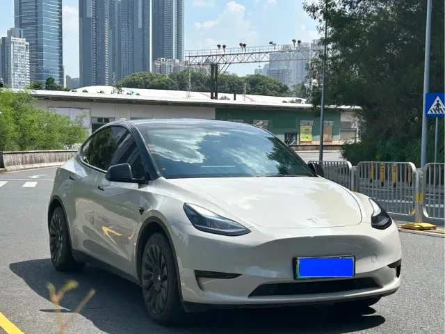 Tesla Model Y — Фото автомобиля 3