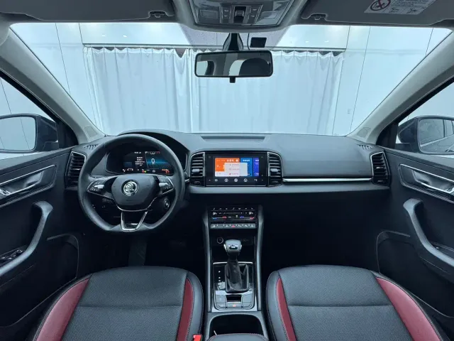 Skoda Karoq — Фото автомобиля 14