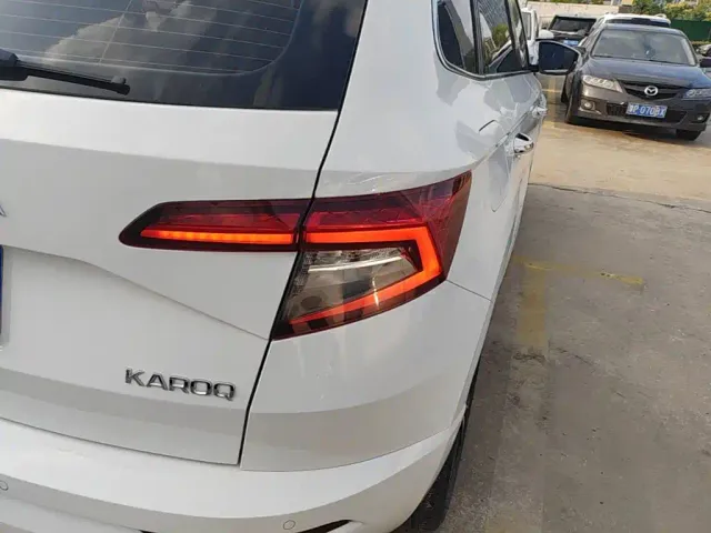 Skoda Karoq — Фото автомобиля 7