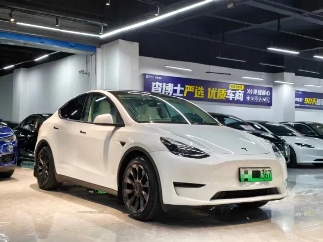 Tesla Model Y — Фото автомобиля 3