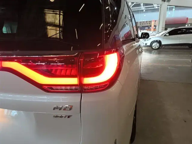 GAC Trumpchi M8 — Фото автомобиля 7