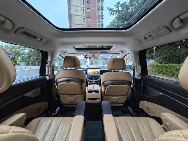 Denza D9 — Фото автомобиля 10