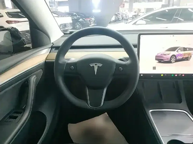 Tesla Model Y — Фото автомобиля 10