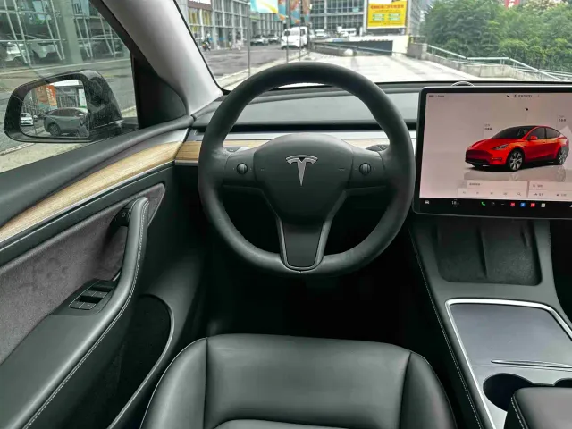 Tesla Model Y — Фото автомобиля 19