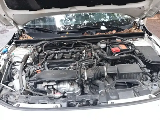 Honda Civic 2023 240TURBO CVT Sporty·C-Special Edition — Фото автомобиля 16