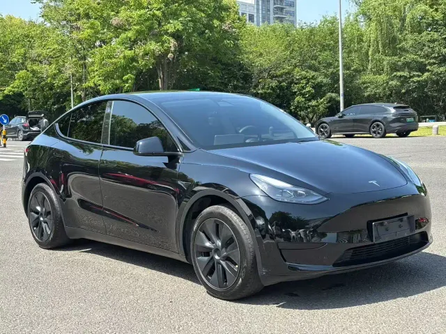 Tesla Model Y — Фото автомобиля 3