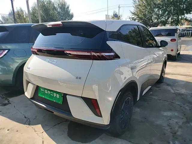 BYD Seagull — Фото автомобиля 6