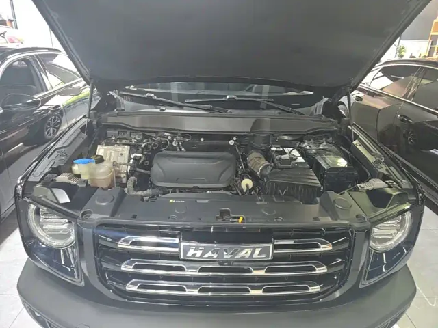 Haval Big Dog — Фото автомобиля 19