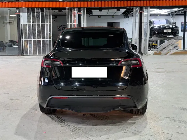 Tesla Model Y — Фото автомобиля 4
