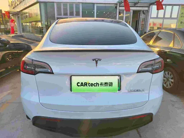 Tesla Model Y — Фото автомобиля 2