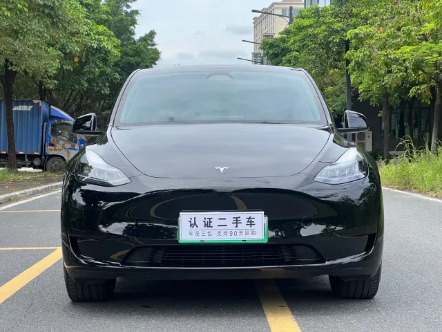 Tesla Model Y — Фото автомобиля 2