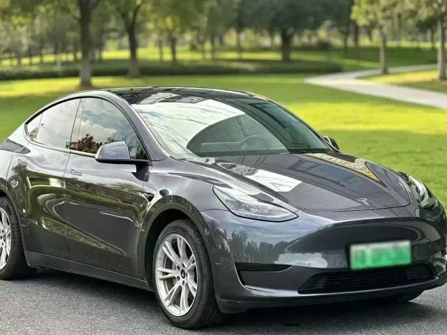 Tesla Model Y — Фото автомобиля 3