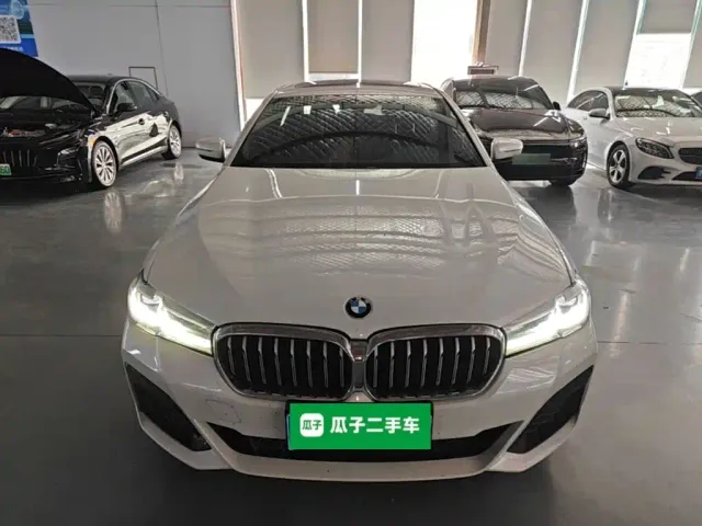 BMW 5 Series — Фото автомобиля 2