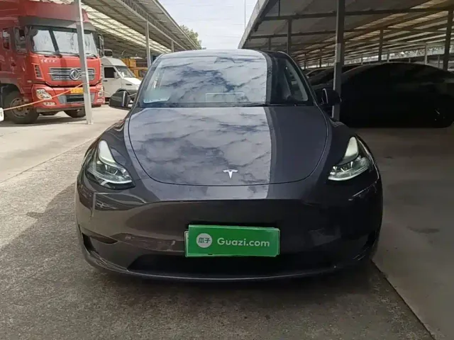 Tesla Model Y — Фото автомобиля 2