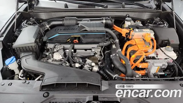 Kia K8 K8 Hybrid — Фото автомобиля 8
