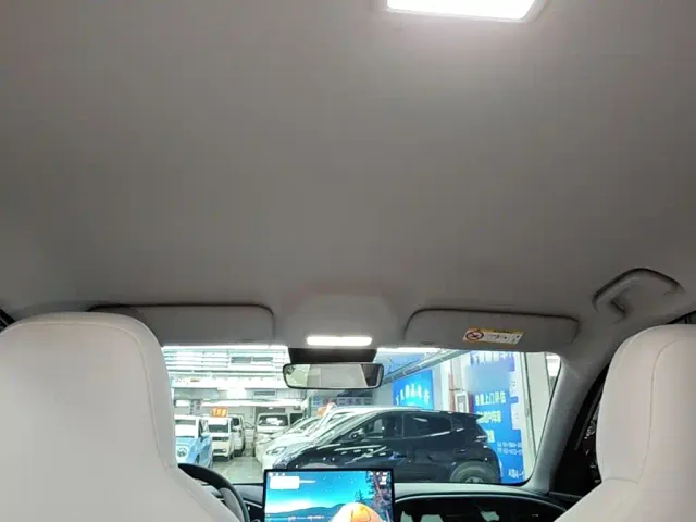 Geely Starry Wish — Фото автомобиля 17