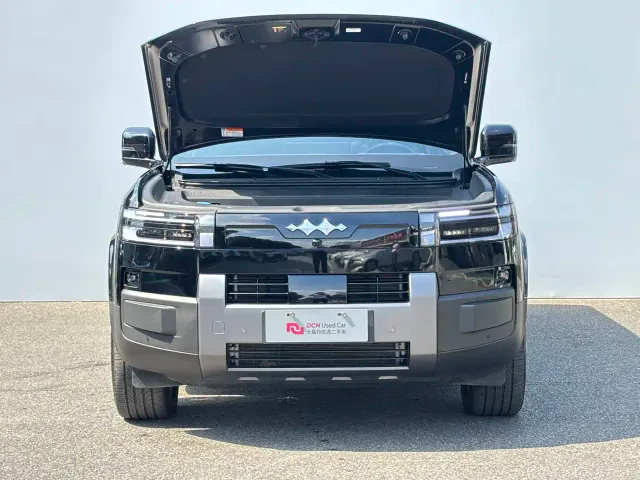 BYD FangChengBao Titanium 7 — Фото автомобиля 7